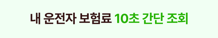 내 운전자 보험료 10초 간단 조회